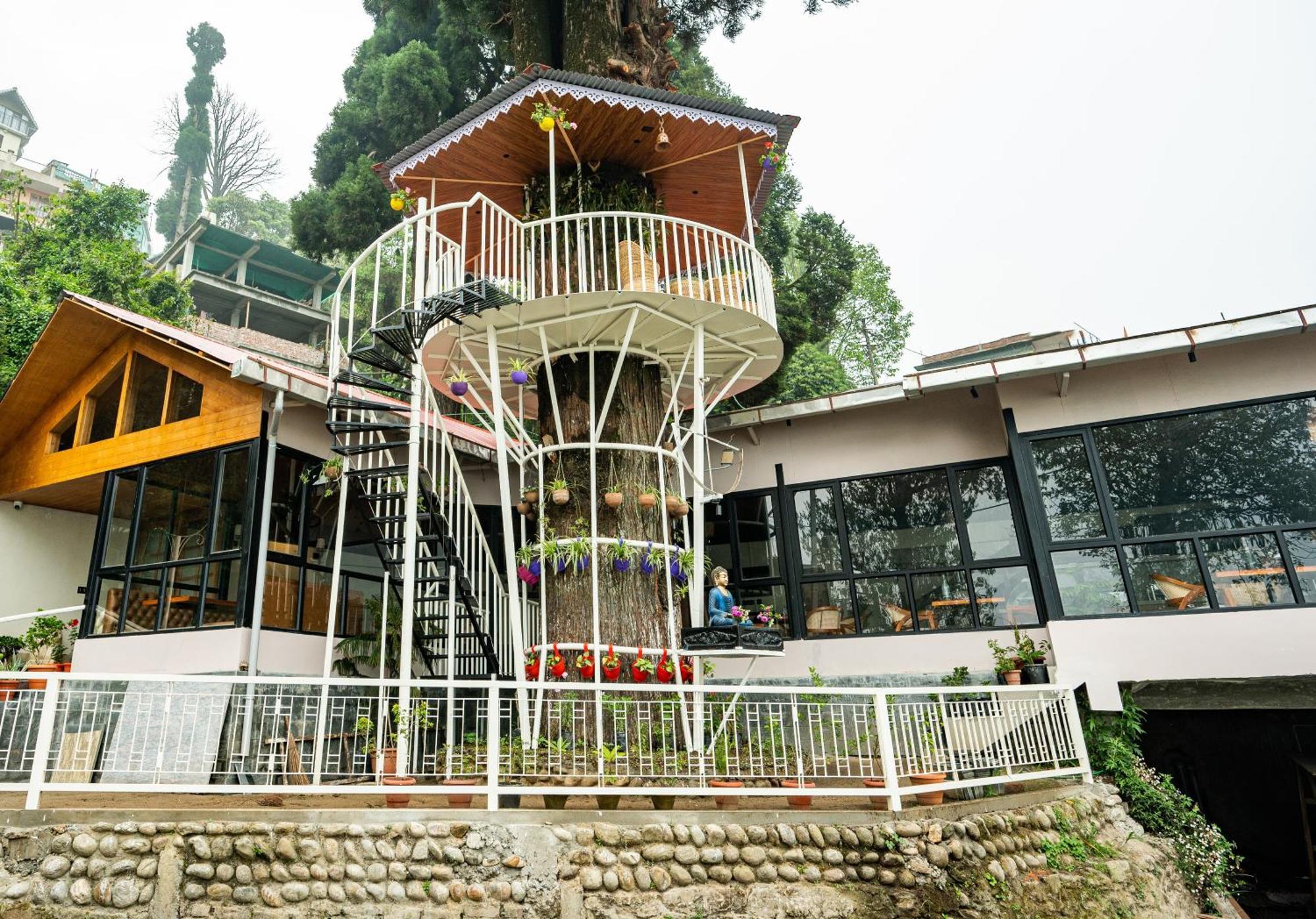 Arcadia Heritage Resort Darjeeling  Extérieur photo